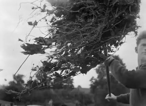 Image result for david gladwell untitled