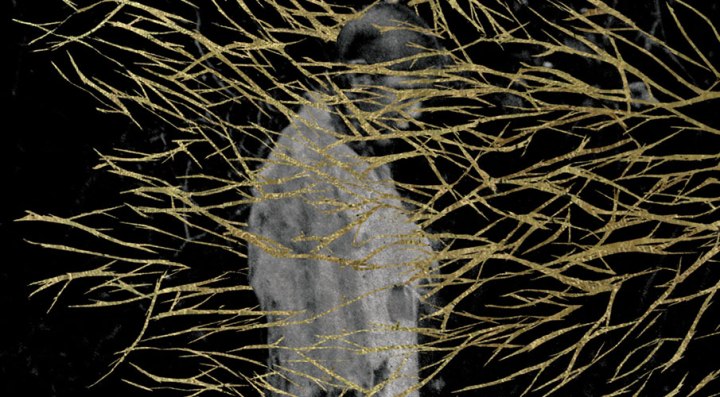 news-14-02-forest-swords