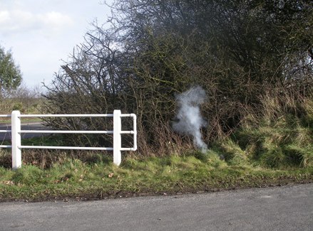 jeremy-millar-works-2005-a-firework-for-wg-sebald