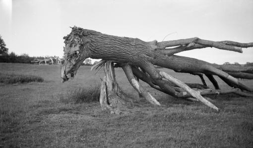 TGA-7050PH-1107-1_10